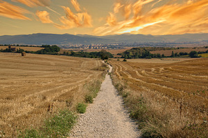 The Camino de Santiago during sunris