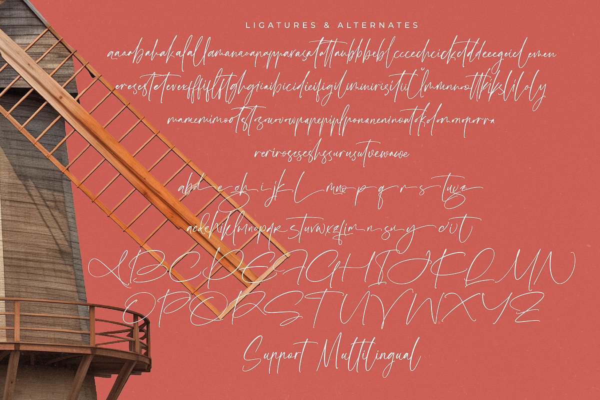 Amsterdam Silhouete Modern Script, a Script Font by stylishtype.co (Photo 19 of 20)
