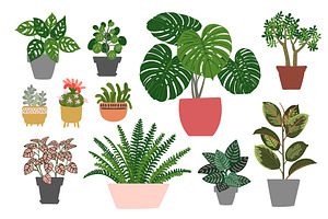 Tropical Plants Vector.