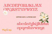 Mediena – Modern Retro Alternates, a Serif Font by Qweera Studio (Thumbnail 11 of 12)