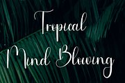 Sister Dancing, a Handwritten Font by InermediaSTUDIO (Thumbnail 3 of 8)