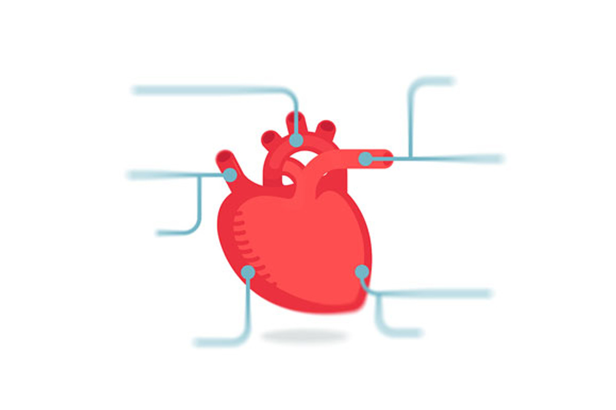 Heart infographic & icon set, a Presentation Template by Beatriz Gascón (Photo 4 of 5)