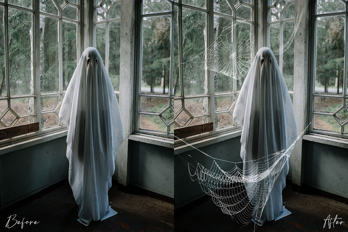 Spiderweb Photoshop Overlays, an Object Graphic by Prestige Photography (Photo 12 of 14)