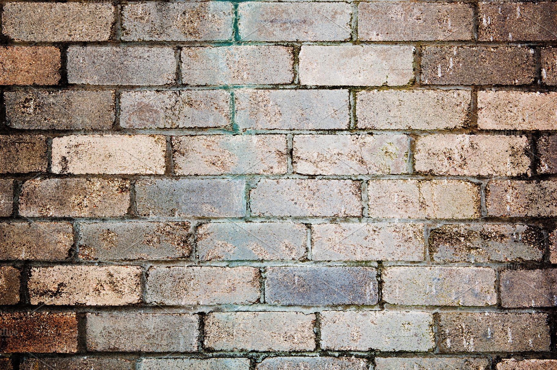 Brick Wall, a Business Photo by THP Creative
