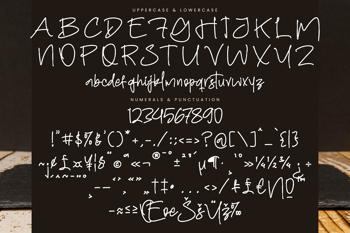 Holleday, a Handwritten Font by Integritype Studio (Photo 13 of 15)