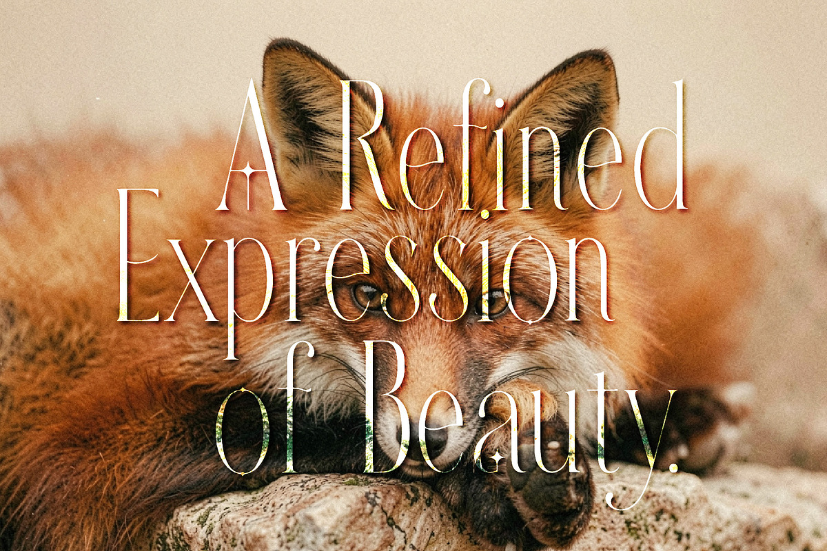 ZAWERMES - Thin Lines Elegance, a Serif Font by HypeWorksCo (Photo 10 of 21)