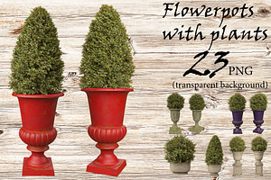 Flowerpots with plants