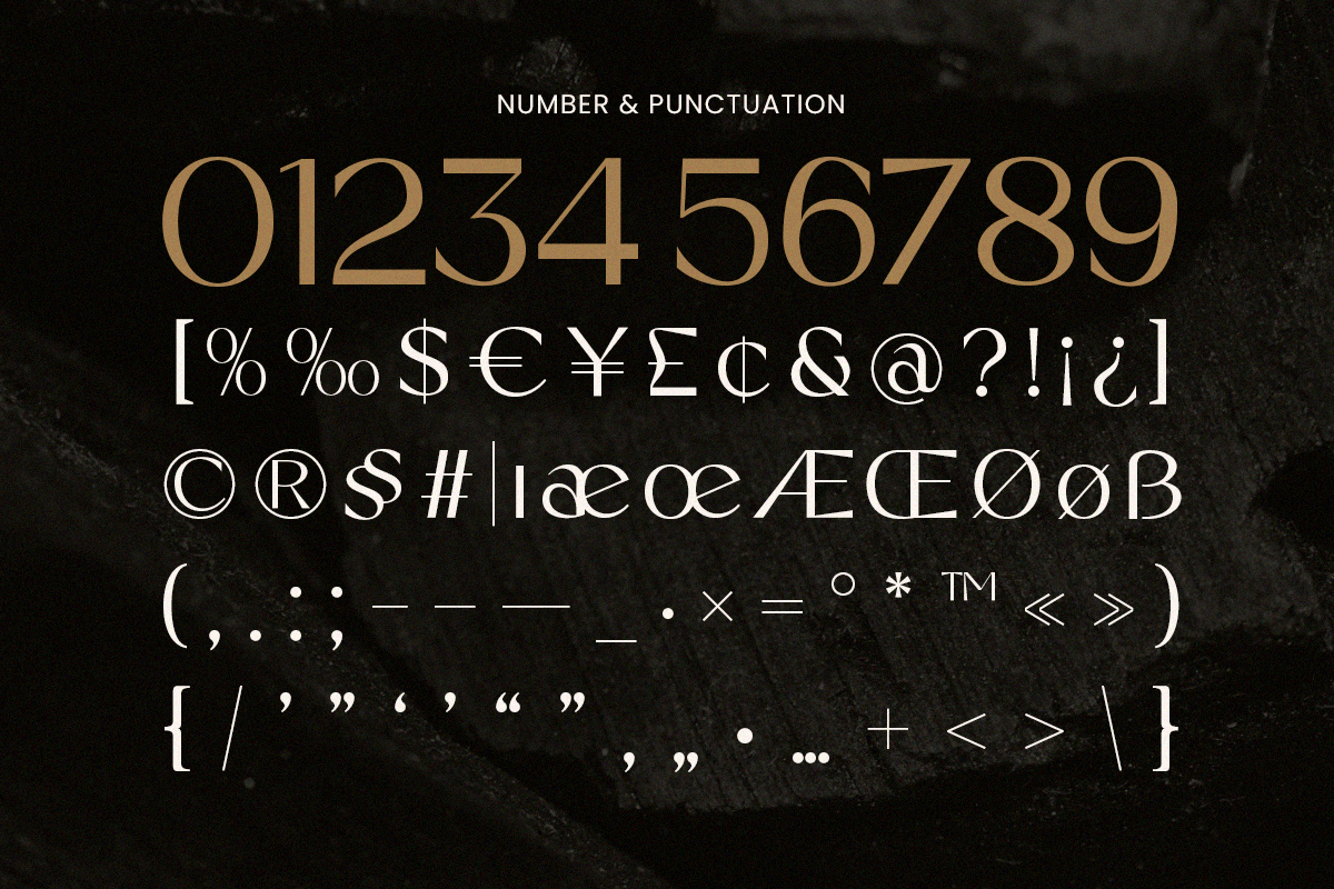 Hanoi - Branding Sans Serif Font, a Sans Serif Font by TokoPress (Photo 9 of 12)