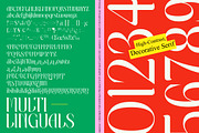 Matrixgi High-Contrast Decorative, a Serif Font by timelesstype.co (Thumbnail 10 of 10)