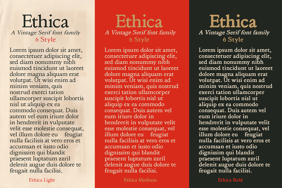 Ethica - Serif font family, a Serif Font by Artistic & Unique (Photo 3 of 15)