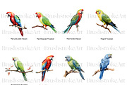 Parakeet Clipart, Macaw Parrot PNG, an Animal Illustration by BrushstrokeArtGB (Thumbnail 5 of 9)