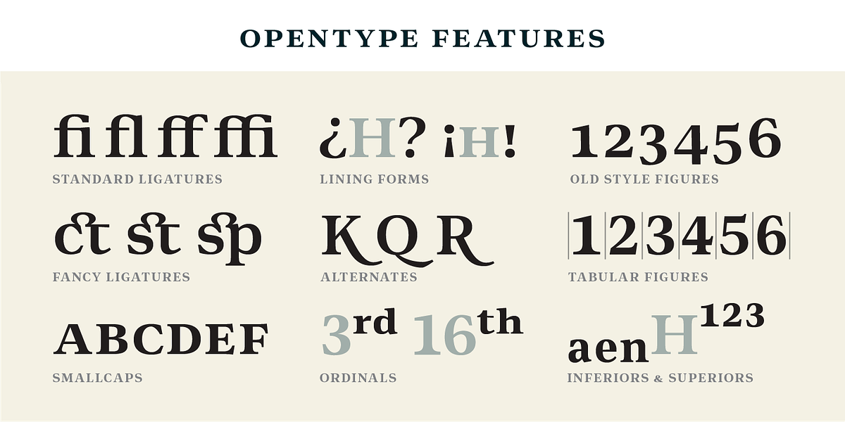 Editora, a Serif Font by Untype (Photo 9 of 12)