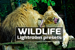 Wildlife Lightroom Presets