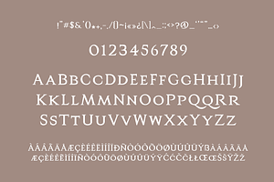 Castaneis - Luxury Roman Style Serif