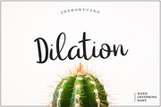 Dilation, a Script Font by Larin Type Co. (Thumbnail 1 of 6)