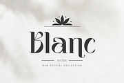 Vagues Elegant Serif, a Serif Font by Creatype Studio (Thumbnail 4 of 10)