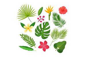 Collection Of Tropical Plants