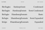 Refagio Modern Serif Family 92 Fonts, a Serif Font by MjStudio31 (Thumbnail 8 of 15)