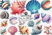 Ocean Sea Shell Sublimation PNG, an Illustration by Designking (Thumbnail 1 of 4)