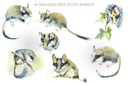 Watercolor Garden Dormouse, an Object Graphic by Budogoshch (Thumbnail 2 of 4)
