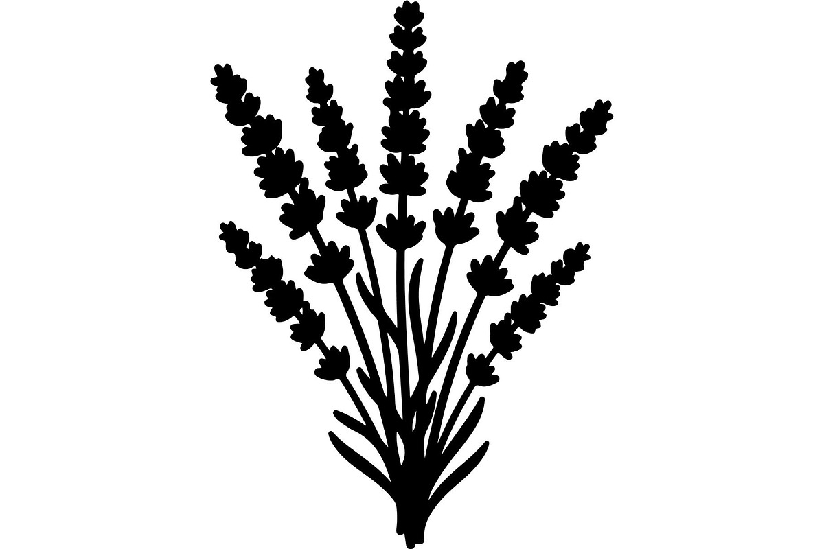 Lavender Flower Silhouette, an Object Graphic by Designer_Momina (Photo 15 of 20)