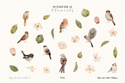 Watercolor Spring Birds & Blossoms, an Animal Illustration by Jenteva Art (Thumbnail 16 of 17)