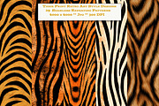 Tiger Print Retro Art Designs, a Pattern Graphic by karenfoleyphoto (Thumbnail 1 of 7)