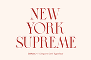 BRANCH - Elegant Serif Typeface, a Serif Font by zeenesia (Thumbnail 3 of 16)