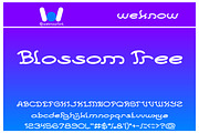 Every Day font, a Font by weknow (Thumbnail 3 of 5)