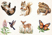 Watercolor Garden Animal Clipart, an Illustration by Libby Wishes (Thumbnail 4 of 6)