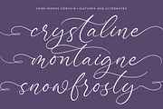 Bottonia Scottella Calligraphy Font, a Script Font by stylishtype.co (Thumbnail 14 of 20)