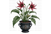Potted Gothic Plants, a Decorative Illustration by Bloom Craft Creations (Thumbnail 1 of 12)