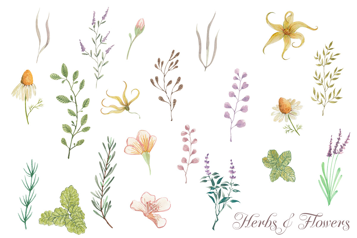 Spells of Nature, a Decorative Illustration by Flo Sacred Art (Photo 2 of 7)
