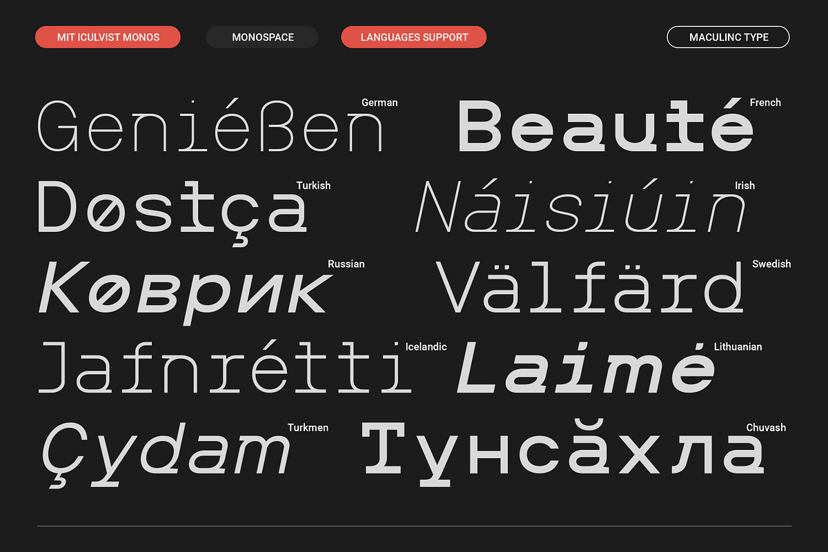 MIT Iculvist Monos Expanded, a Sans Serif Font by Maculinc Type (Photo 8 of 11)