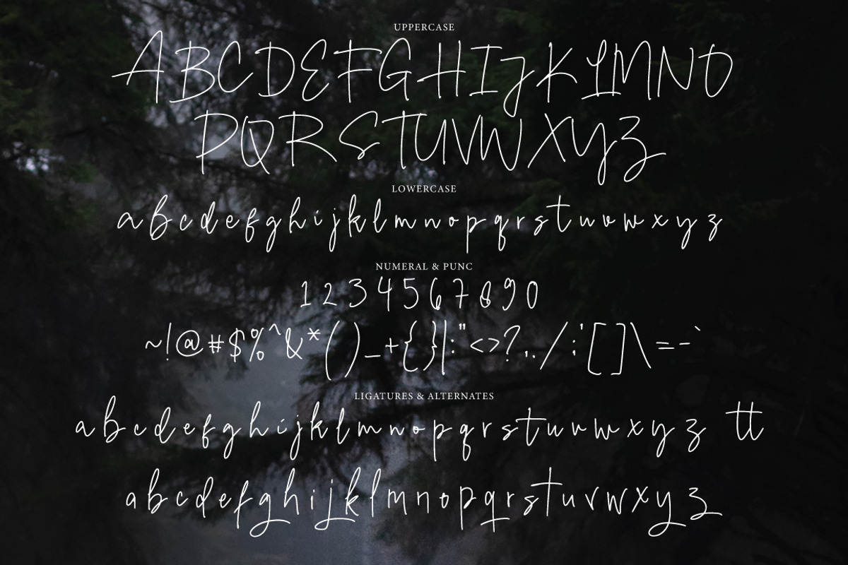 Cimond - Moniline Signature, a Font by executypeStudio (Photo 6 of 9)