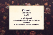 Joyous comics serif font, a Serif Font by Ana's Fonts (Thumbnail 8 of 11)