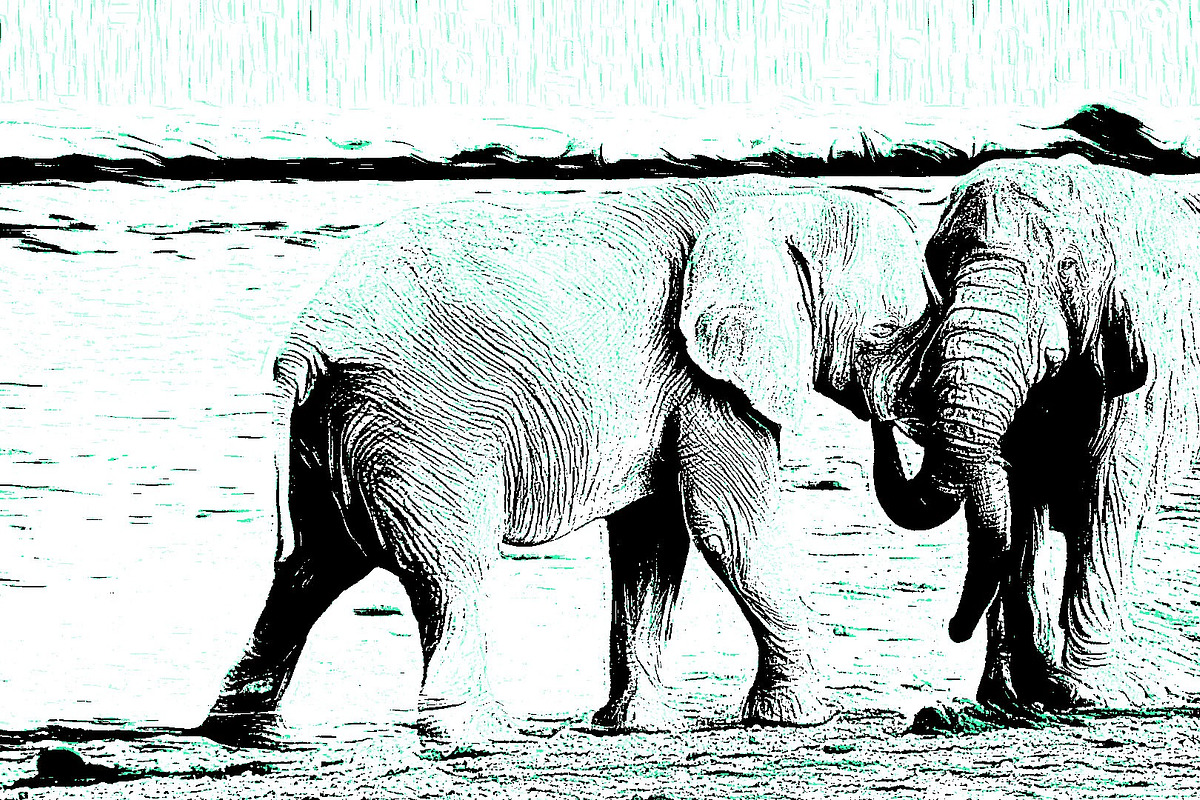 Color Advance Art, an Action Add-On by MRI STUDIO (Photo 8 of 9)