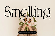 Shortened Connection - Elegant Font, a Serif Font by 177Studio (Thumbnail 3 of 8)