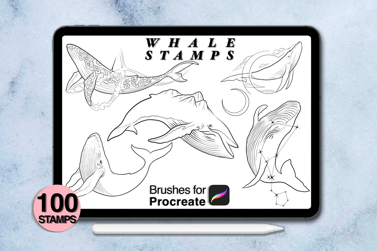 100 procreate whale stamps, a Brush Add-On by Arts For Peace (Photo 5 of 9)