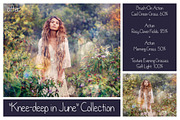 Summer Collection - PS Bundle preview 2
