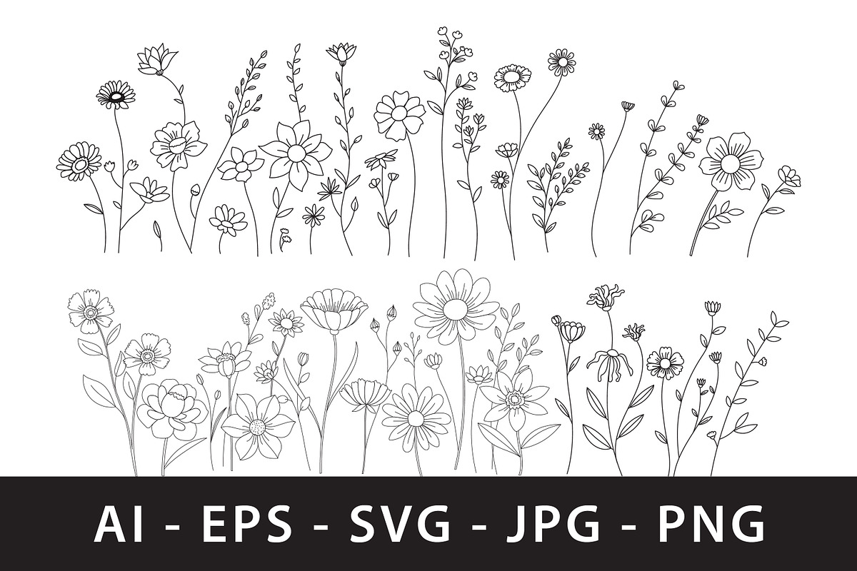 Elegant wildflower line art, a Decorative Illustration by Saba Vector