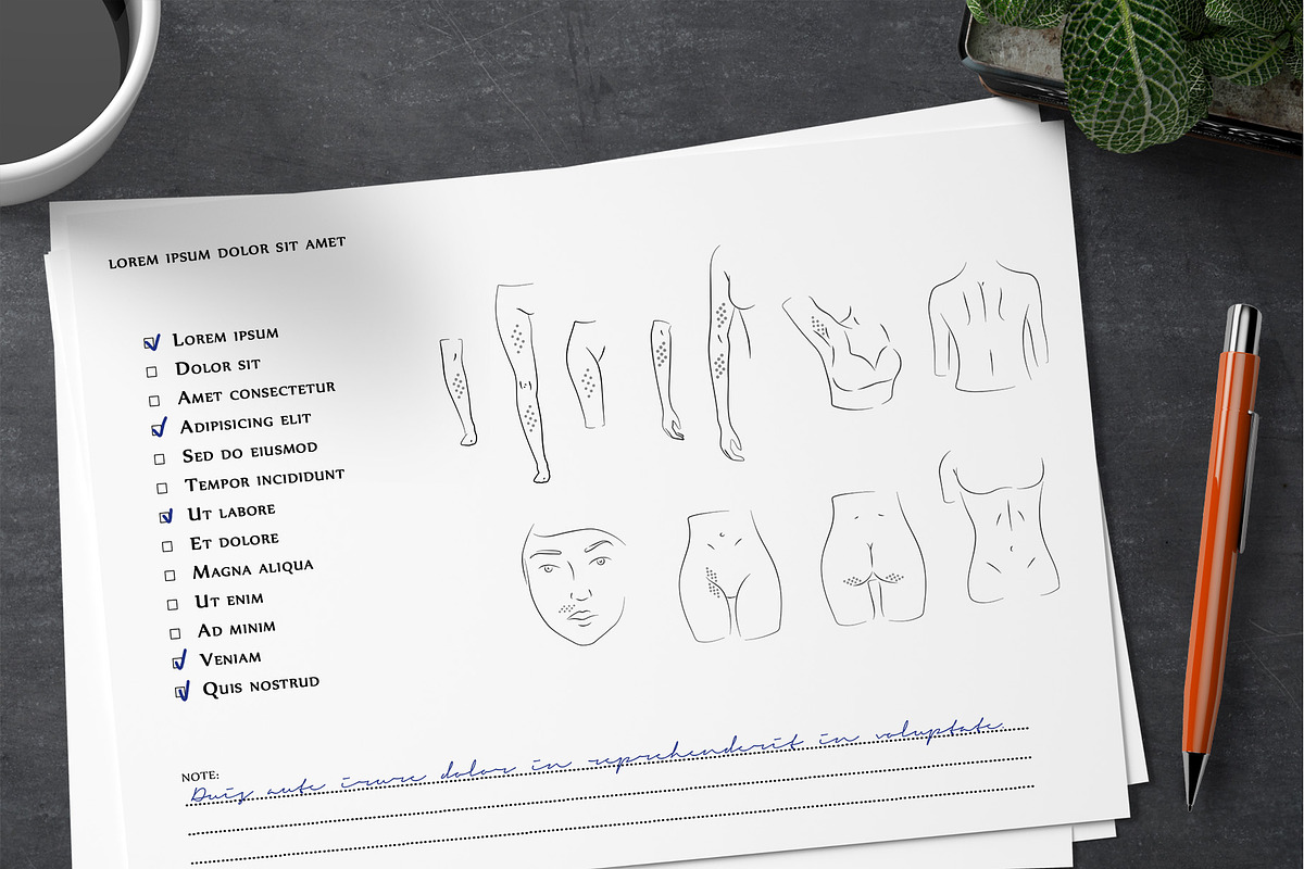 Body parts vector line art set, an Illustration by OctopusRider (Photo 3 of 5)