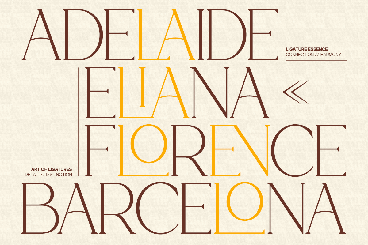 GC Cheline - Modern Elegant Serif, a Serif Font by Glyphonic (Photo 14 of 15)