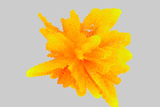GEO_FLUID1 Vector Pack, a Background Graphic by codetoform (Thumbnail 10 of 10)