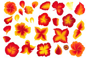 150 One stroke flowers style., a Decorative Illustration by redstudio (Thumbnail 6 of 7)