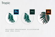 Tropic | Tropical Illustrations, an Illustration by new public (Thumbnail 6 of 6)