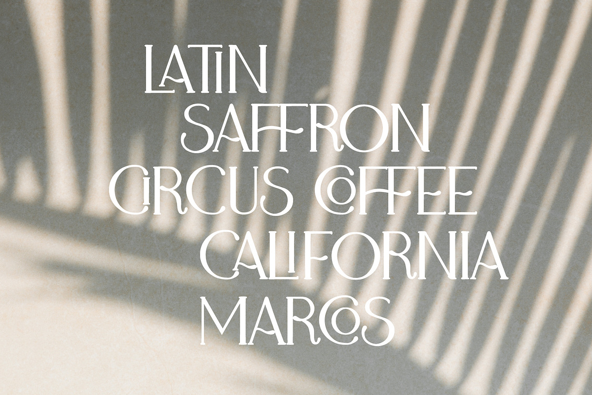 Adele Moon Serif Font + Extras, a Serif Font by Creator Goodies (Photo 13 of 17)