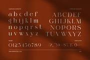 Ragne Elegant Serif Font, a Serif Font by Elegant Font (Thumbnail 7 of 8)