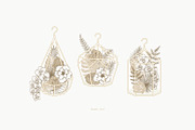Tropical florals collection, an Illustration by adehoidar (Thumbnail 9 of 10)