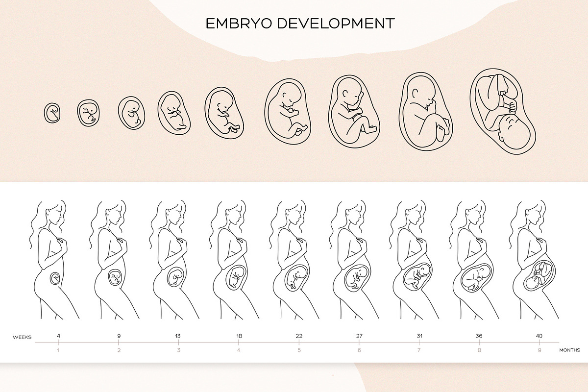 Pregnant & Maternity Woman, a Person Illustration by ms Julia Nova (Photo 5 of 9)